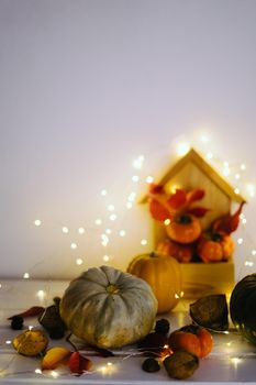 Thanksgiving, Christmas and New Year's Day. Autumn festive composition of garland, pumpkin, nuts, persimmons, red leaves. Vertical orientation of the photo. Wooden house for storage of small things.