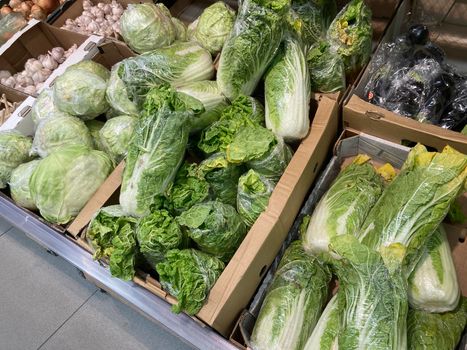 Close up of various cabbage in cardboard boxes on supermarket counter. Concept of agriculture, organic food, healthy eating and diet