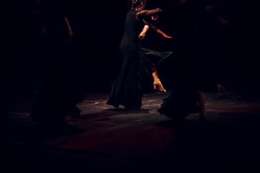 Flamenco. Performance on stage.