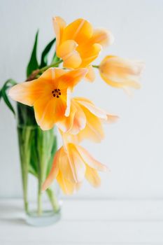 A bouquet of orange tulips in a vase on a white wooden table. Happy Mother's Day. March 8. Holiday card.