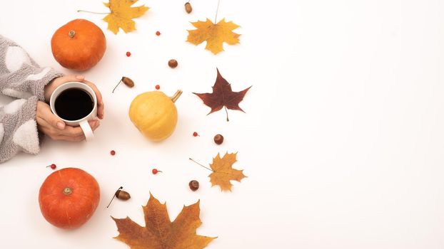 A woman holds a cup of black coffee near the yellow maple leaves of a pumpkin on a white background. Autumn flat lay