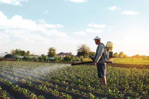 Farmer sprays pesticides on plantation. Use of chemicals for protection of plants from insects and fungal infections. Farm work on field. Pesticides and fungicides. Agriculture and agro industry.