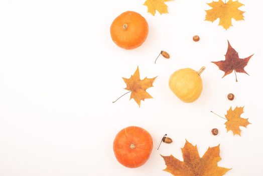 Autumn flat lay. Maple leaves, pumpkins and acorns on a white background. Copy space.