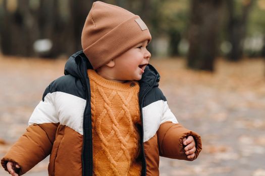 a little boy smiles in an autumn Park. A family walks through the Golden autumn nature Park