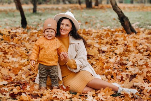 mother and son walk in the autumn Park. The family walks through the nature Park in the Golden autumn