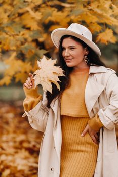 a girl in a white coat and hat smiles in an autumn Park.Portrait of a woman in Golden autumn
