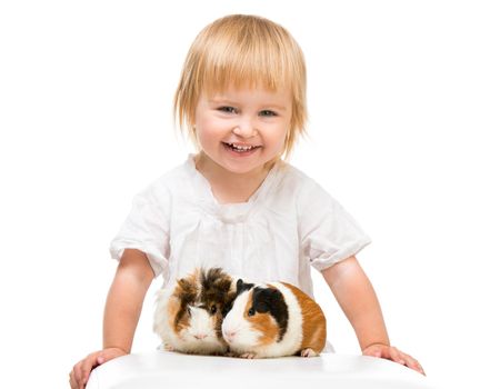 Little cute baby girl with guinea pigs. Isolated on white background.