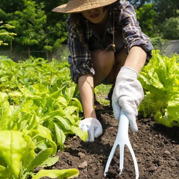 A young girl in a straw hat and gloves prepares the soil in the garden for planting seedlings. Woman use such inventory as garden trowel and rake.