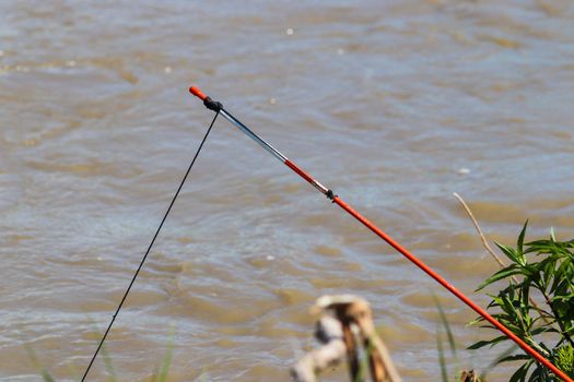 Catfish with Set line fishing alone the Niobrara River in Nebraska . High quality photo