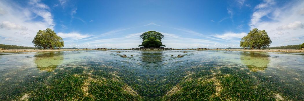 An ocean underwater reef with sun light through water surface. seagrass field