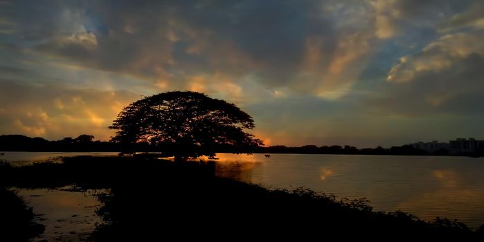 Creative shot of sunset.Sun setting behind the tree in the lake during dusk time with colorful dramatic clouds in the sky.