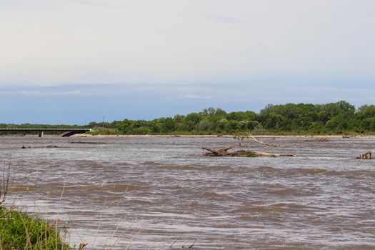 Catfish with Set line fishing alone the Niobrara River in Nebraska . High quality photo