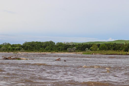 Catfish with Set line fishing alone the Niobrara River in Nebraska . High quality photo