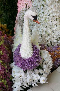 Swan made from orchid flowers.