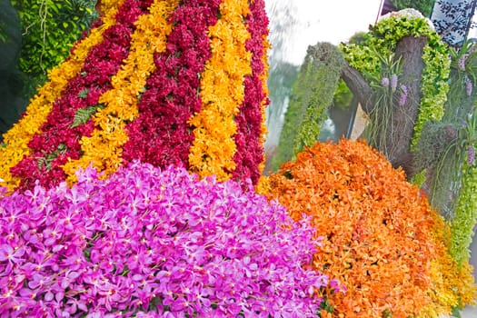 Orchid flowers with a variety of beautiful colors.