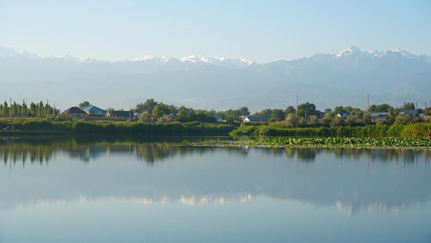 The mirror surface of the lake water reflects pink lotuses, large green water lilies, high mountains of the Trans-Ili Alatau, trees and houses. Beautiful landscape on mirror pond. Almaty, Kazakhstan