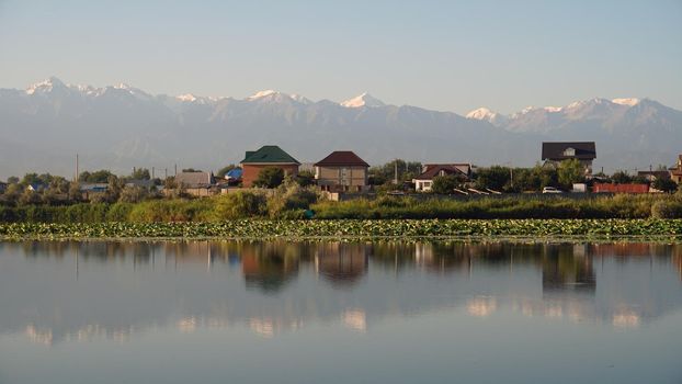 The mirror surface of the lake water reflects pink lotuses, large green water lilies, high mountains of the Trans-Ili Alatau, trees and houses. Beautiful landscape on mirror pond. Almaty, Kazakhstan