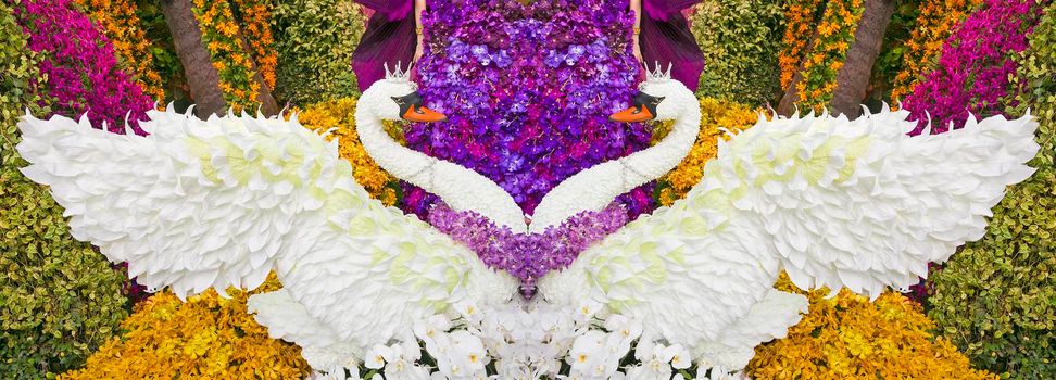 Swan made from orchid flowers.
