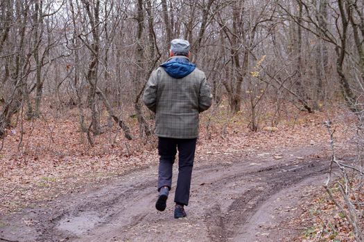 man walking along a forest road, rear view.