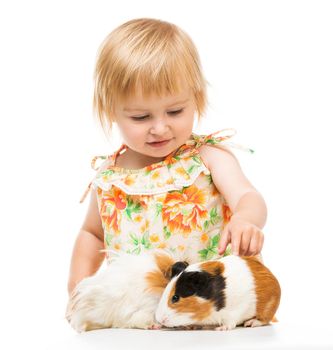 Little cute baby girl with guinea pigs. Isolated on white background.