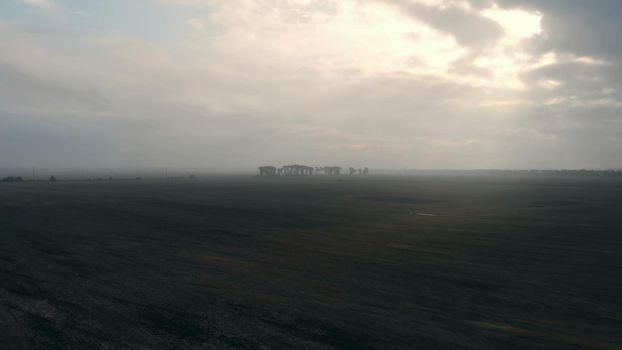 The drone moves over the black scorched field, light mist, trees grow in the distance.