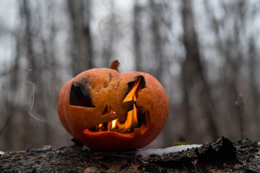 Scary pumpkin with tongues of flame in a dense forest. Jack o lantern for halloween.