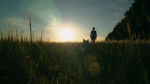 Rear back view woman going away dog sitting looking see the following. Amazing nature and sky in sunset. Summer season in evening.