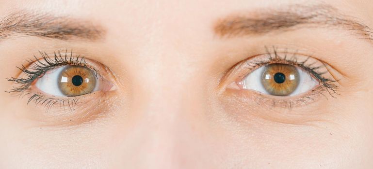 Macro image of human eye with contact lens. Woman's eye close-up.