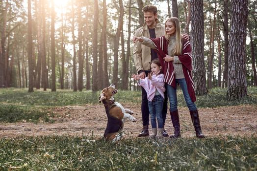 Happy parents have fun with their daughter at forest path next to jumping dog during walk in autumn forest.