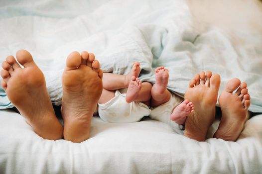 the feet of parents and young children under the blanket. Mom and dad with children lie under a blanket at home.
