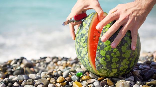 The cut watermelon lies on the seashore. Watermelon in the sea. Ripe watermelon lies on the seashore.