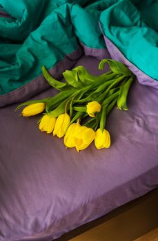 Beautiful yellow tulips in a bed, close-up. valentine card