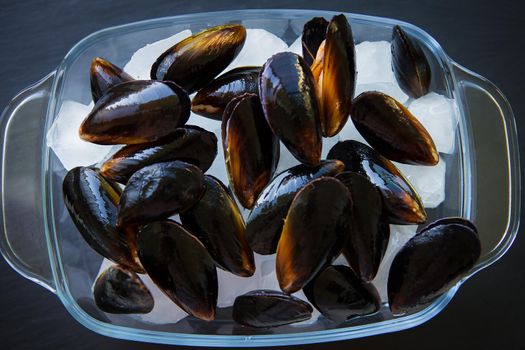 Very tasty and fresh mussels on ice cubes