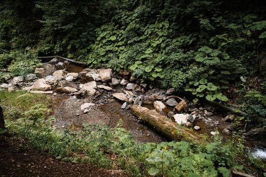 Mountain creek stream flowing through the autumn forest in Russia
