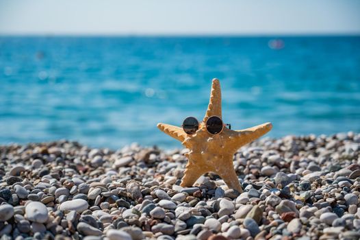 Starfish in sunglasses on a pebble beach by the sea