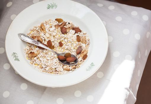 Oatmeal in bowl with nuts, useful food
