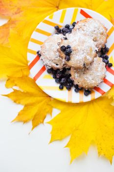colorful cupcakes on a plate with fresh blueberries and yellow autumn leaves