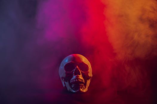 Human skull in pink and blue smoke on a black background. Halloween