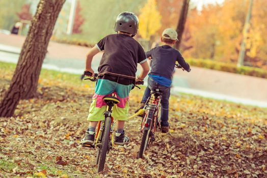 Two little boys riding bicycles in the park