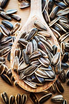 sunflower seeds in a wooden spoon