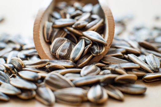 sunflower seeds in a wooden spoon