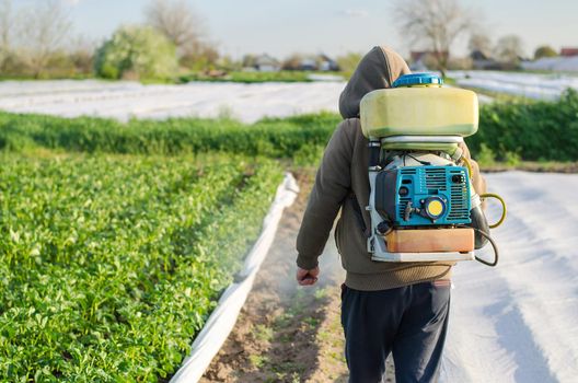 A farmer with a mist fogger sprayer sprays fungicide and pesticide on potato bushes. Protection of cultivated plants from insects and fungal infections. Effective crop protection, environmental impact