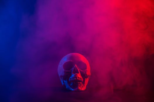 Human skull in pink and blue smoke on a black background. Halloween