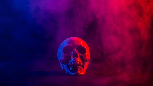 Human skull in pink and blue smoke on a black background. Halloween