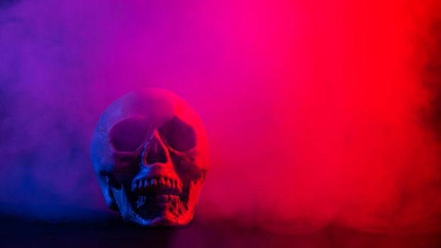 Human skull in pink and blue smoke on a black background. Halloween