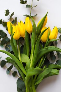 Beautiful yellow tulips on a white table