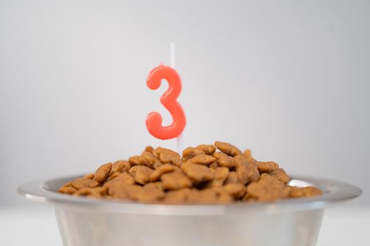 Dog food bowl with dry food and three-shaped candle