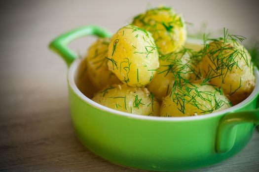 boiled early potatoes with butter and fresh dill in a bowl on a wooden table