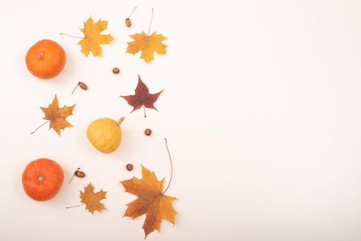 Autumn flat lay. Maple leaves, pumpkins and acorns on a white background. Copy space.