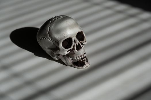 Blinds shadow on a plastic skull on a white table.